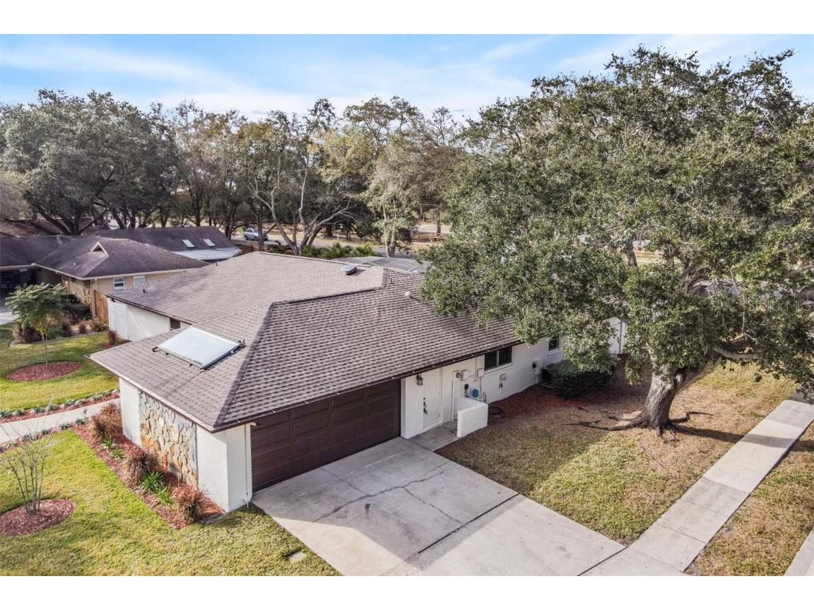 1 Fernery Lane Safety Harbor FL 34695 T3515808 image2