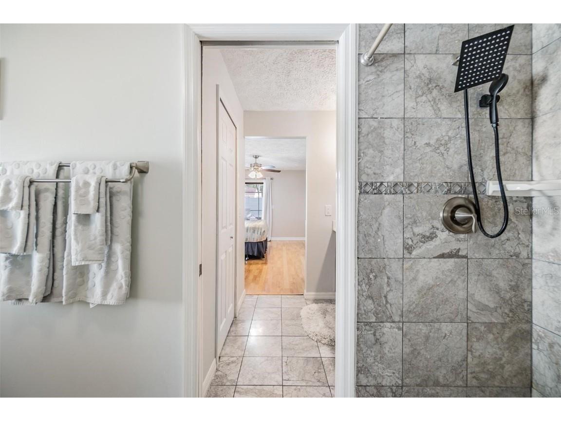 1 Fernery Lane Safety Harbor FL 34695 T3515808 image22