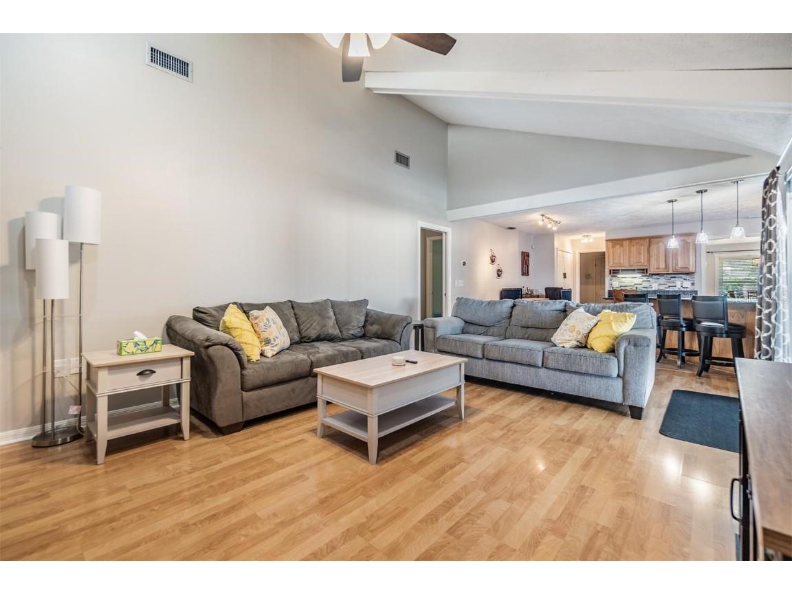 1 Fernery Lane Safety Harbor FL 34695 T3515808 image39