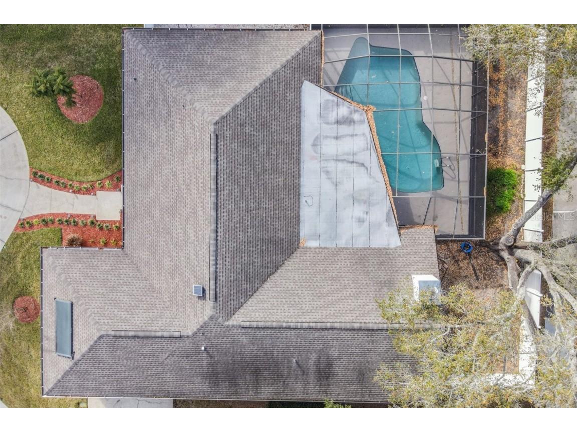 1 Fernery Lane Safety Harbor FL 34695 T3515808 image4