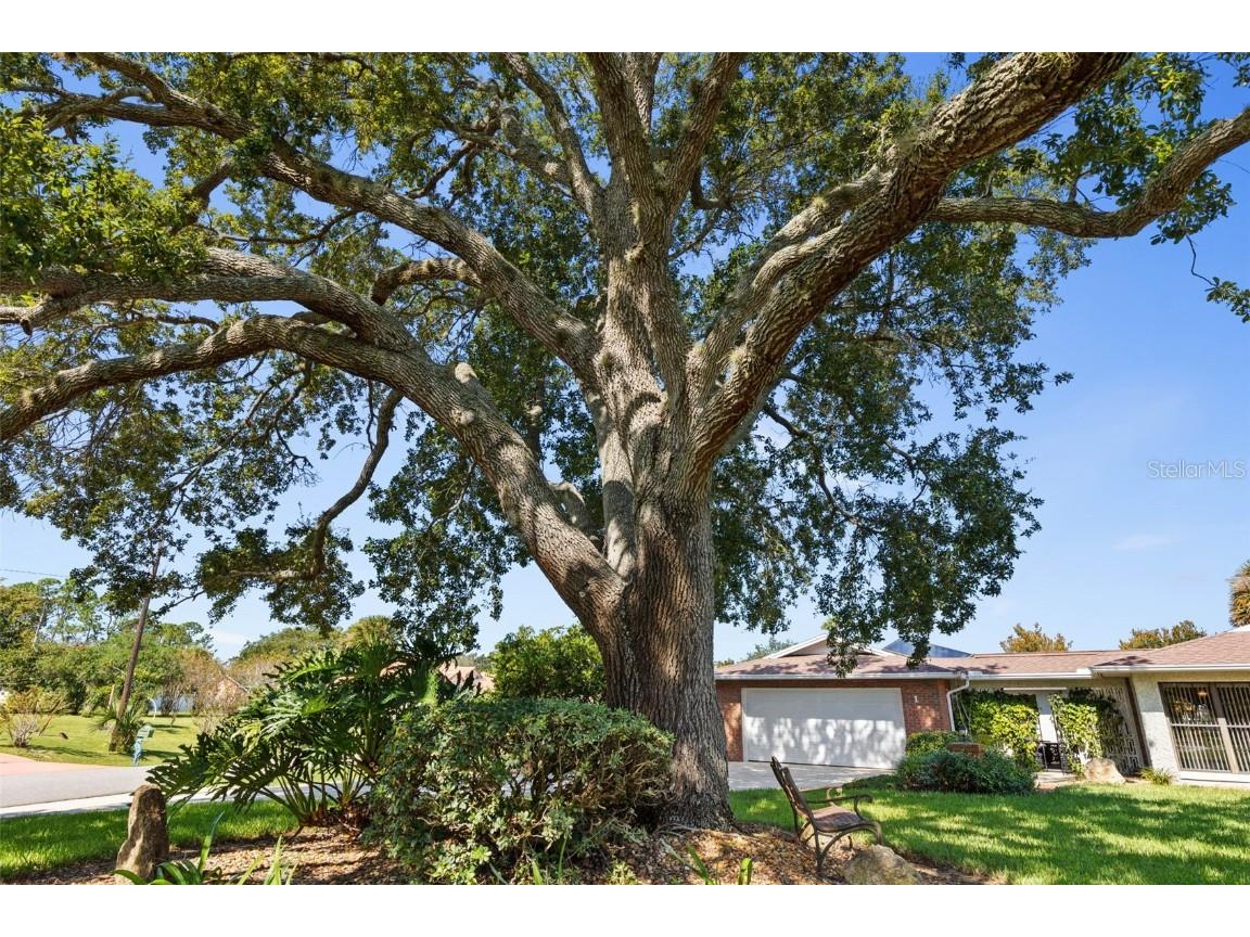 1 Flametree Court Palm Coast FL 32137 FC313568 image55