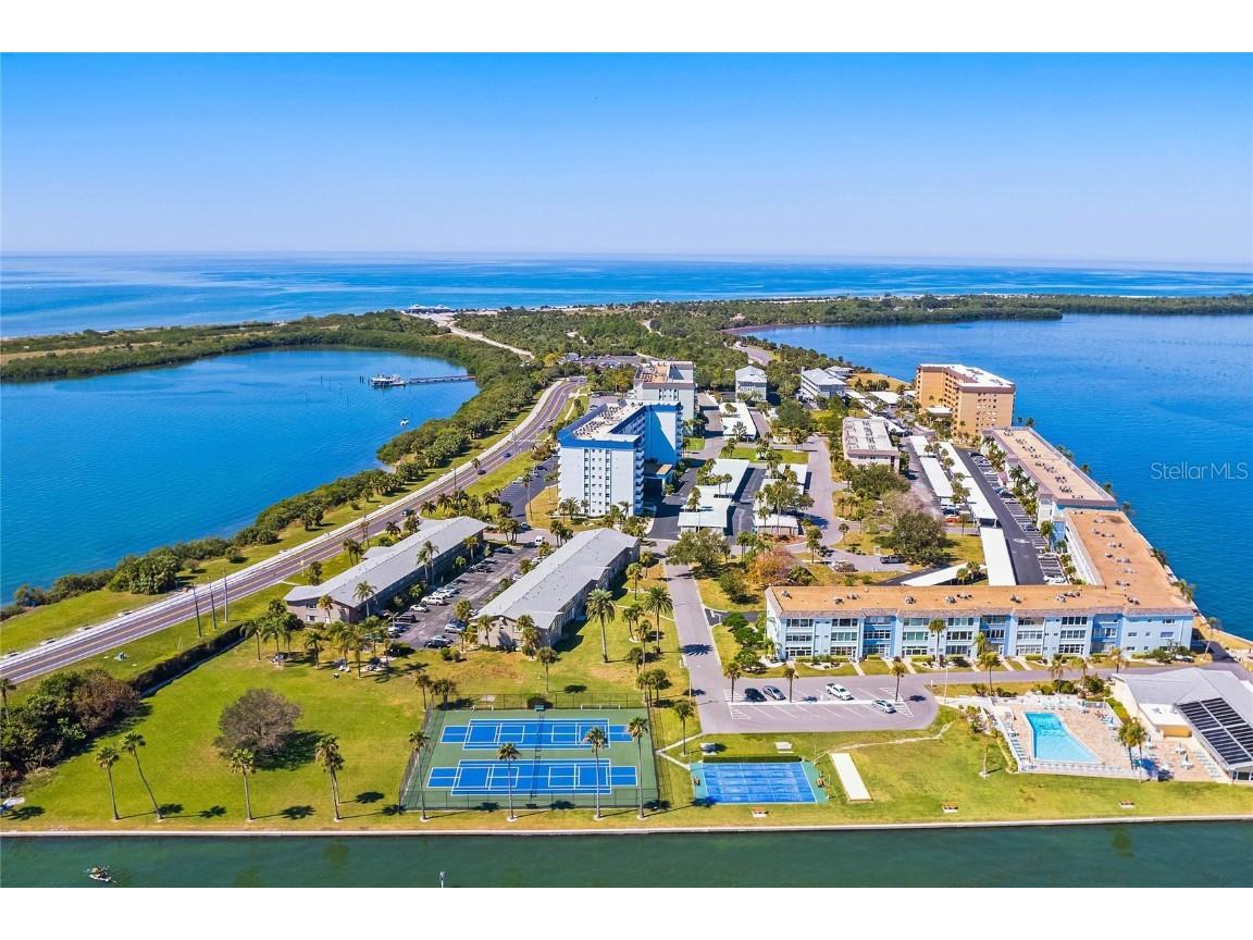 1 Gateshead Drive #206 Dunedin FL 34698 U8178773 image1