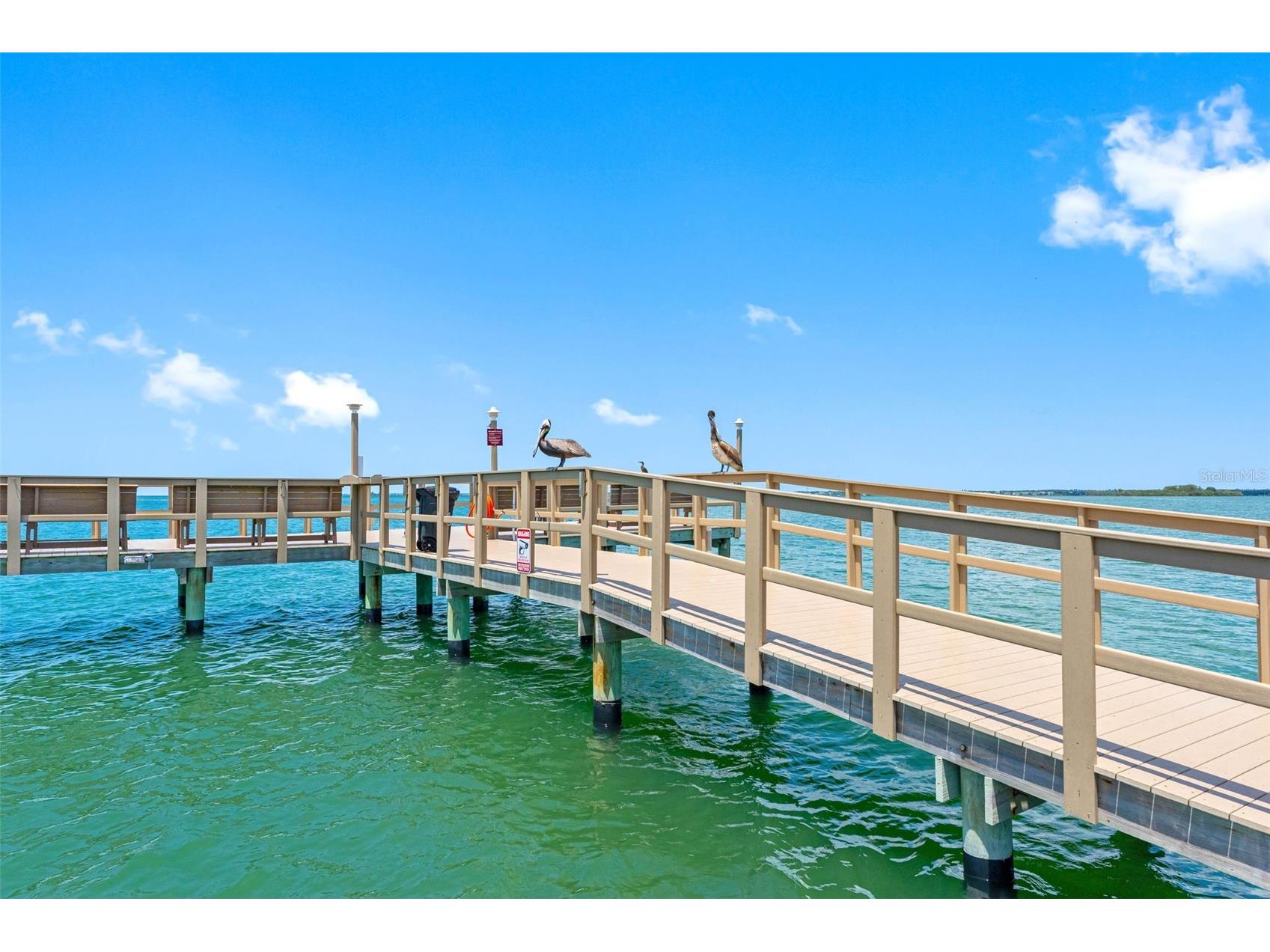 1 Gateshead Drive #B108 Dunedin FL 34698 TB8511990 image25