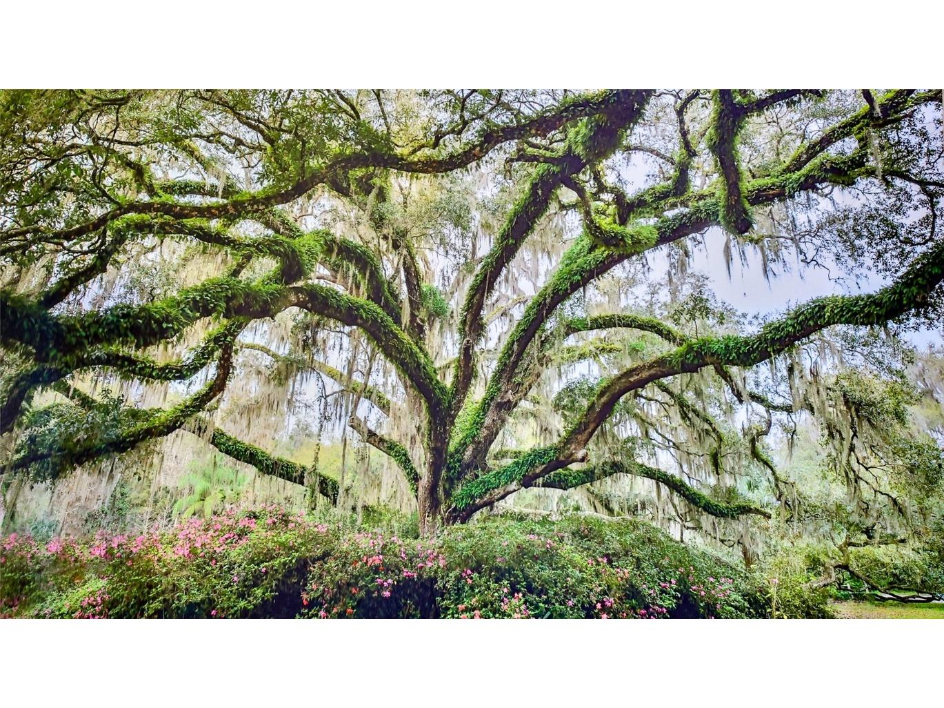 1 Hammock Beach Parkway Palm Coast FL 32137 FC310234 image30