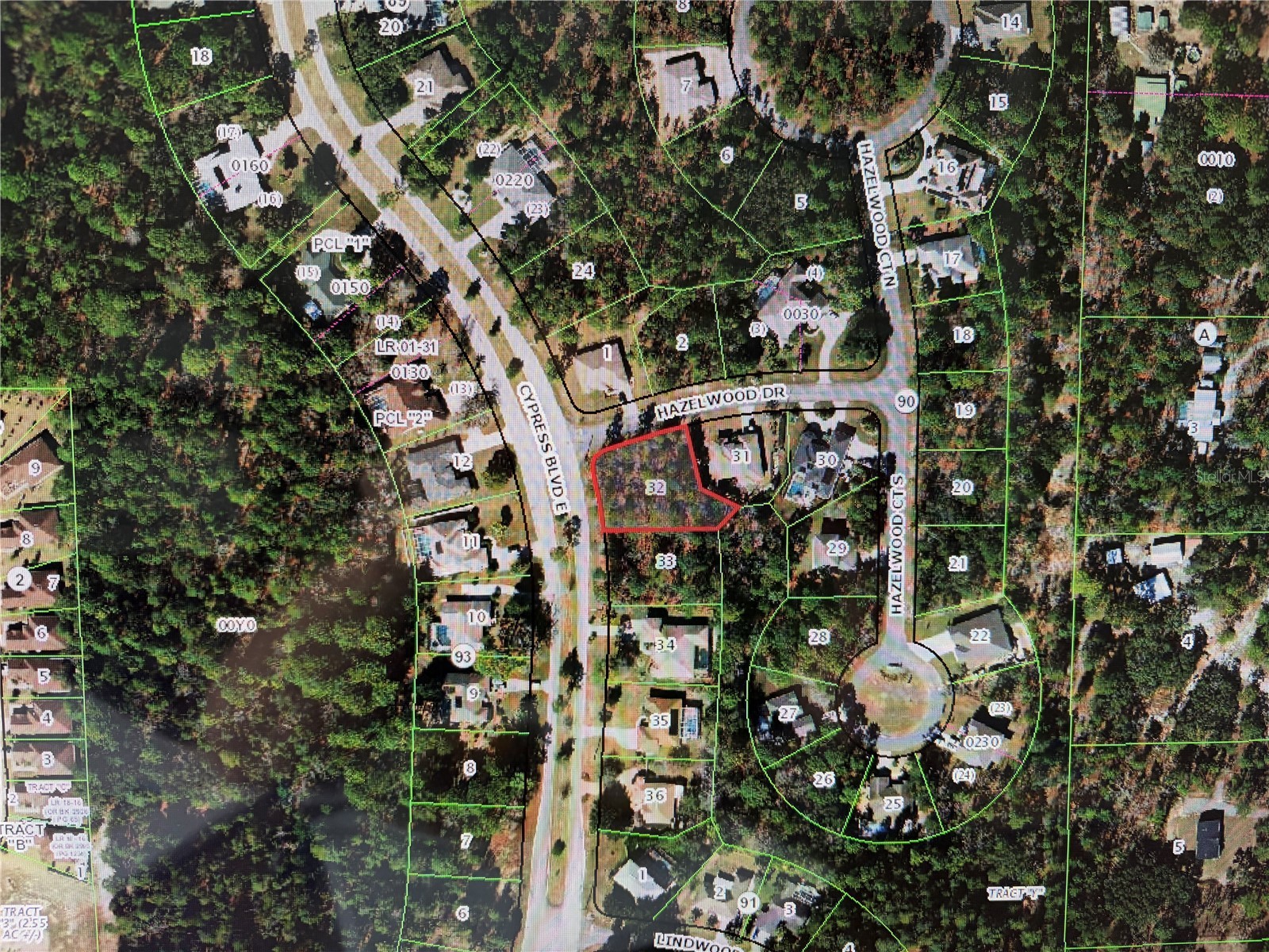 1 Hazelwood Drive Homosassa FL 34446 OM726362 image3