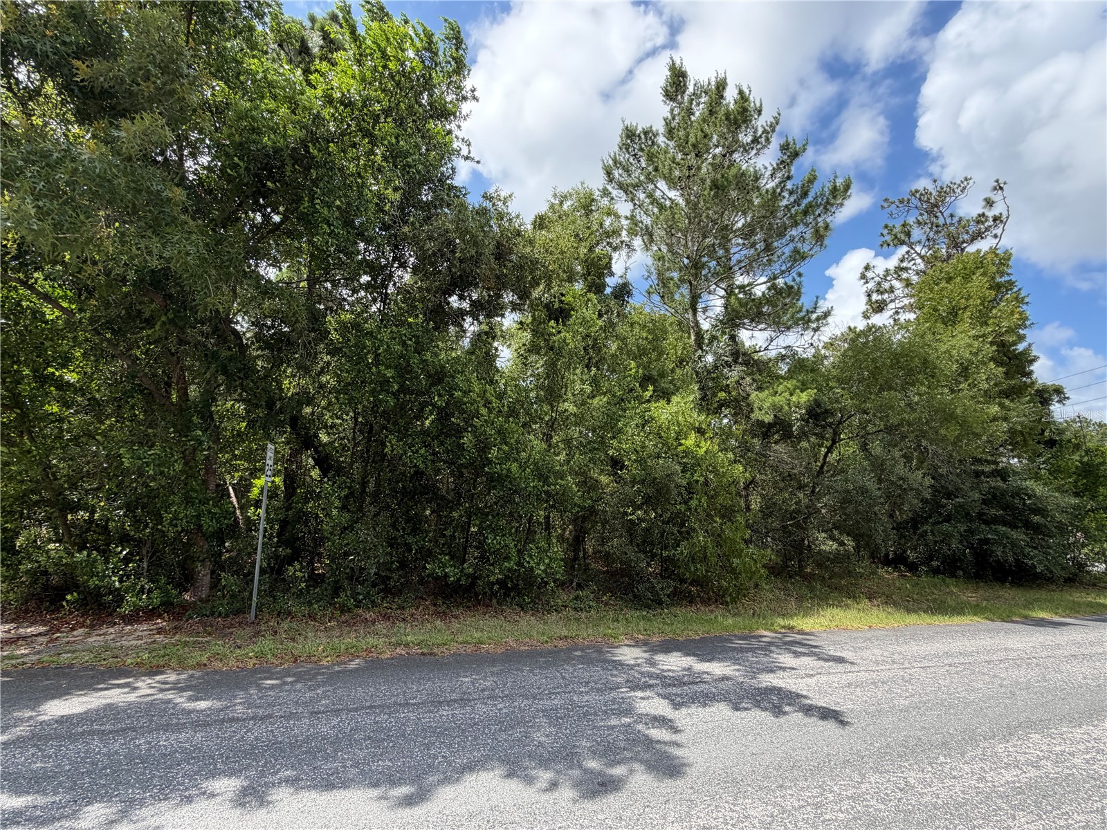 1 Hazelwood Drive Homosassa FL 34446 OM726362 image5