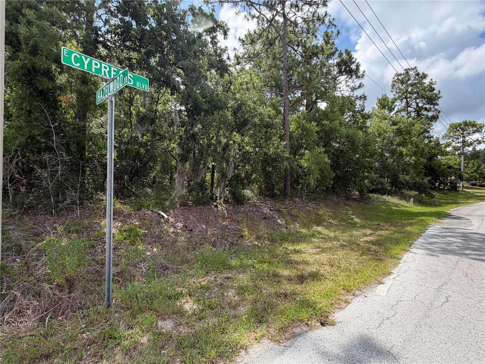 1 Hazelwood Drive Homosassa FL 34446 OM726362 image6