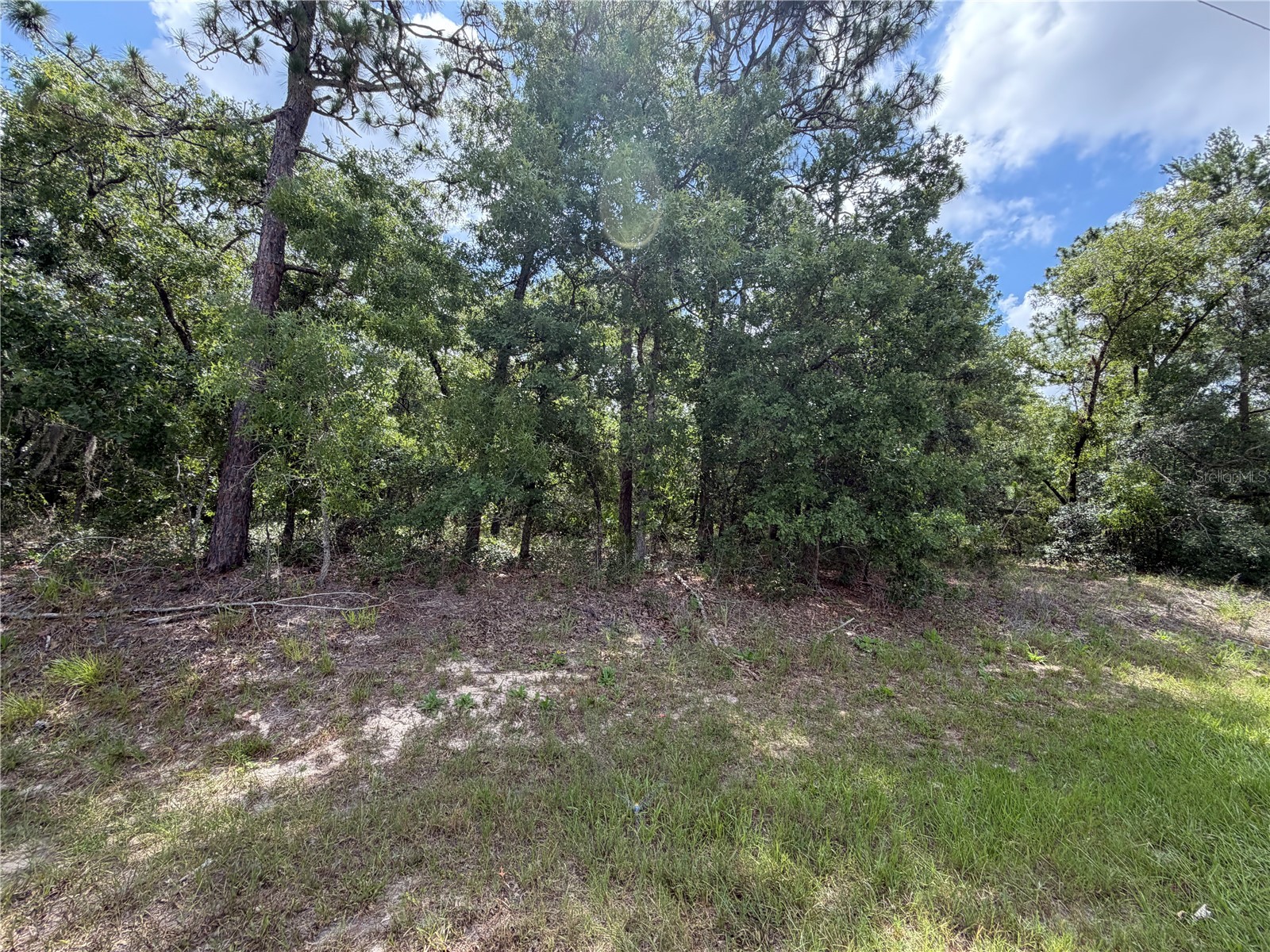 1 Hazelwood Drive Homosassa FL 34446 OM726362 image7
