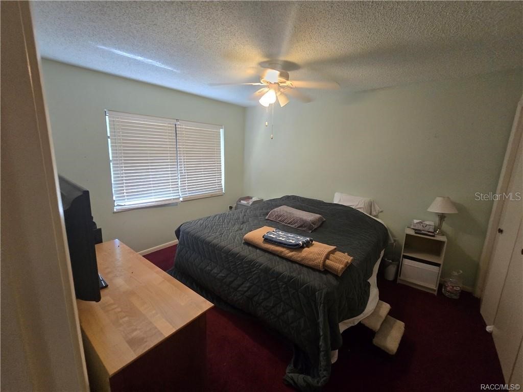 1 Holly Court Homosassa FL 34446 OM723959 image24
