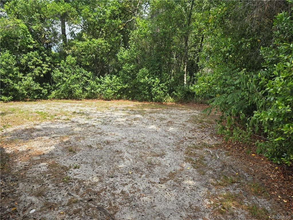 1 Holly Court Homosassa FL 34446 OM723959 image32