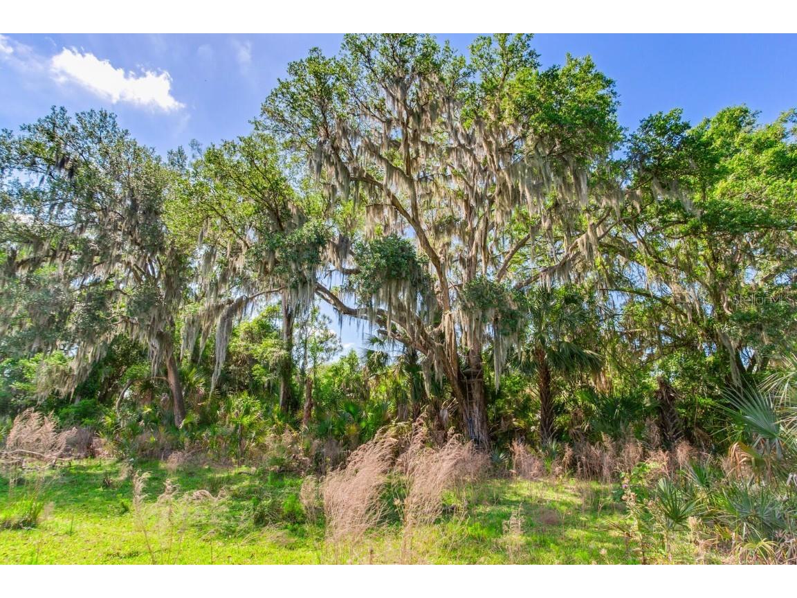 1 Jameson Road Lithia FL 33547 T3524256 image1