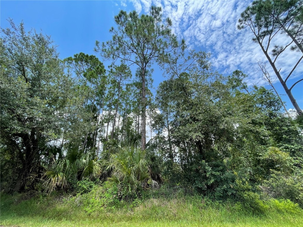 1 Karanda Court Palm Coast FL 32164 FC293677 image1