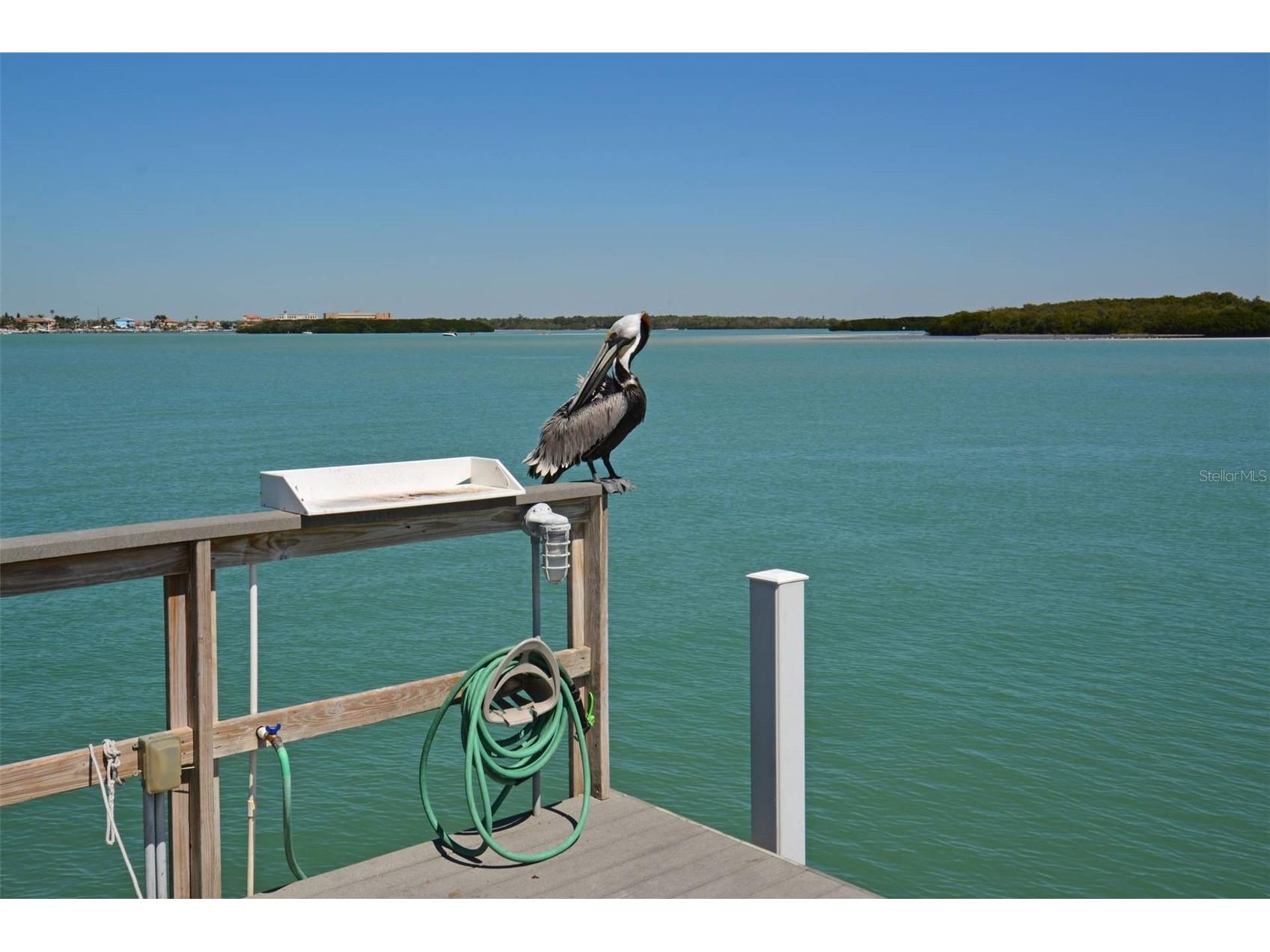 1 Key Capri #102E Treasure Island FL 33706 TB8489485 image47