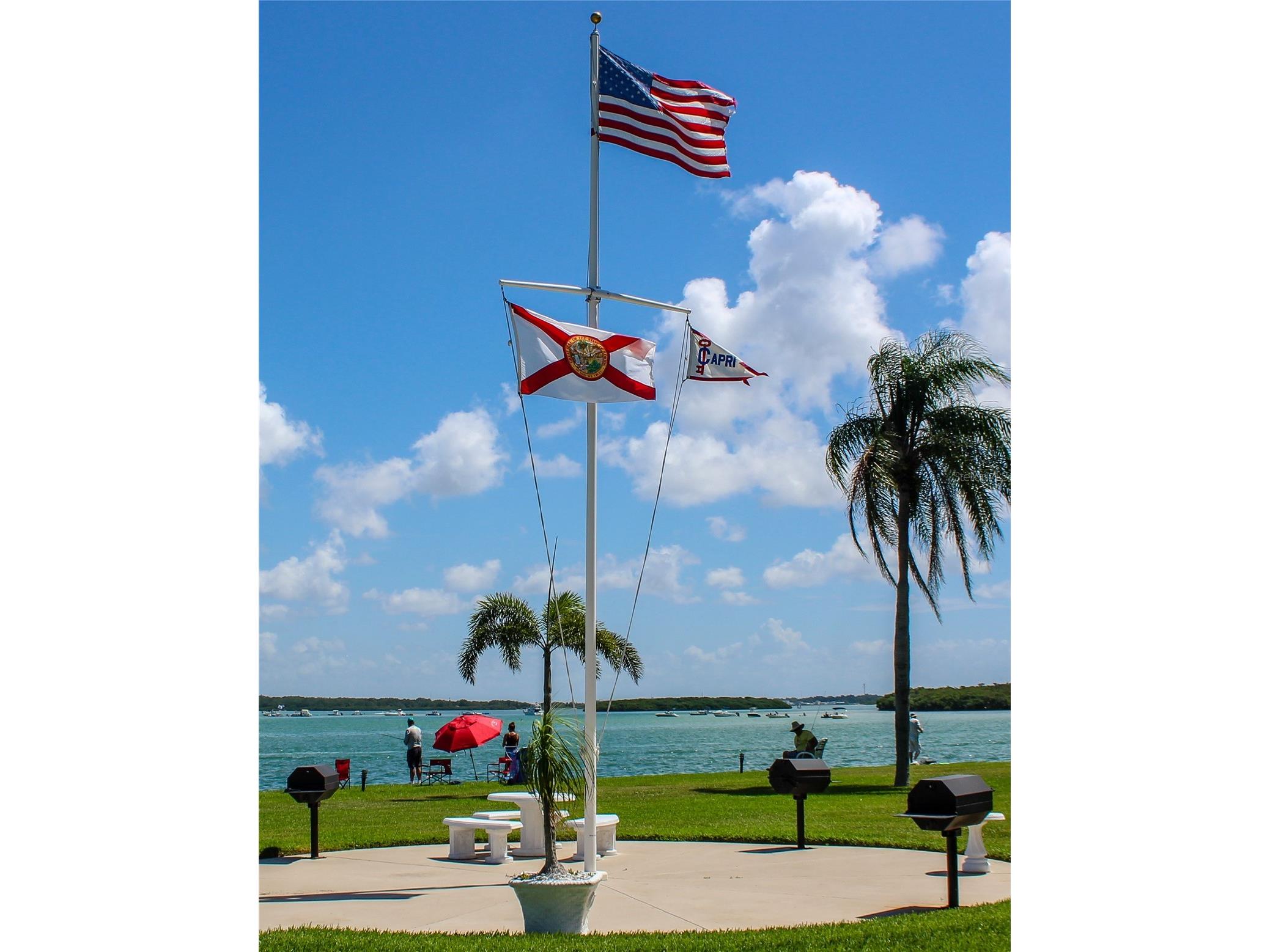 1 Key Capri #102E Treasure Island FL 33706 TB8489485 image48