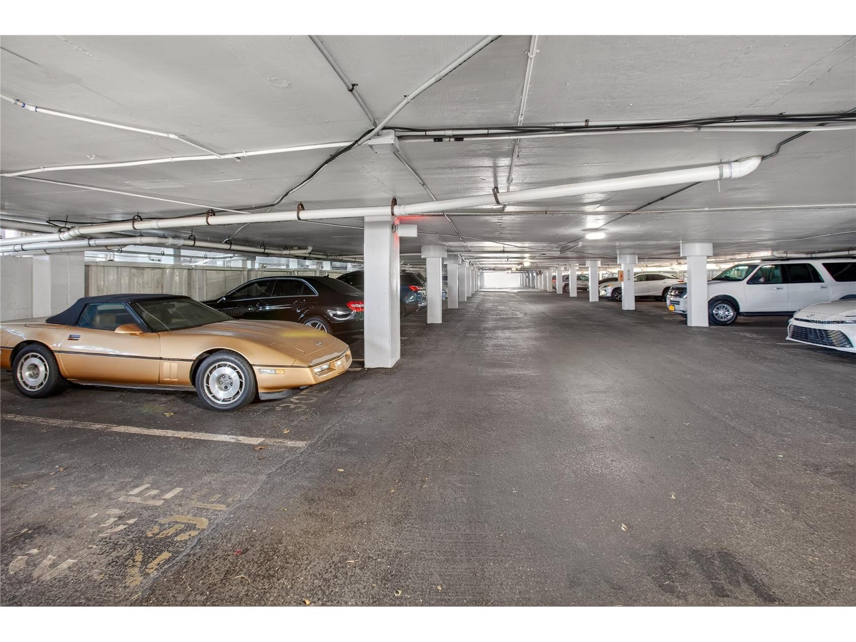 1 Key Capri #103E Treasure Island FL 33706 TB8495115 image22