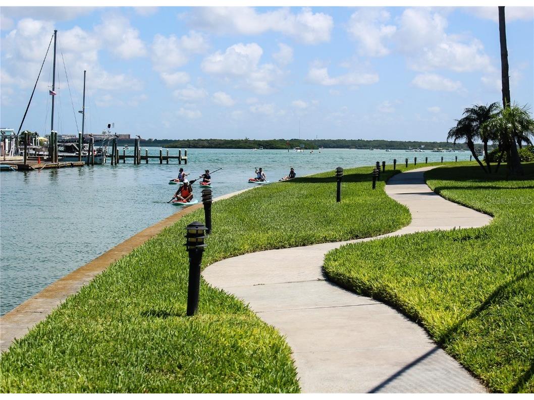 1 Key Capri #502E Treasure Island FL 33706 TB8381558 image37