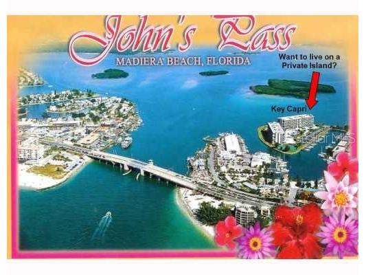 1 Key Capri #502E Treasure Island FL 33706 TB8381558 image41