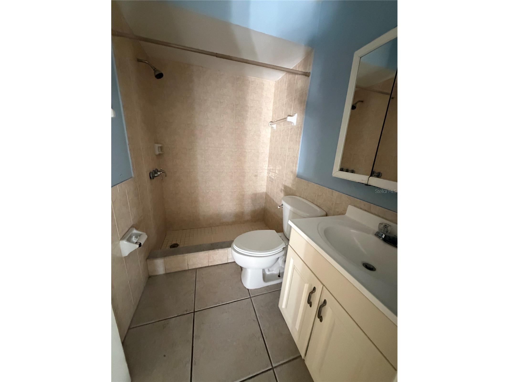 1 Lake Villa Way Kissimmee FL 34743 S5141398 image11