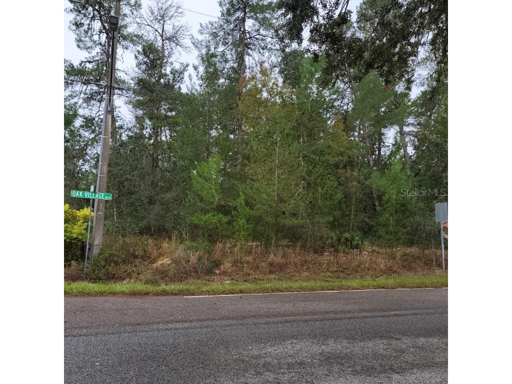 1 Lobelia Court Homosassa FL 34446 W7859921 image1