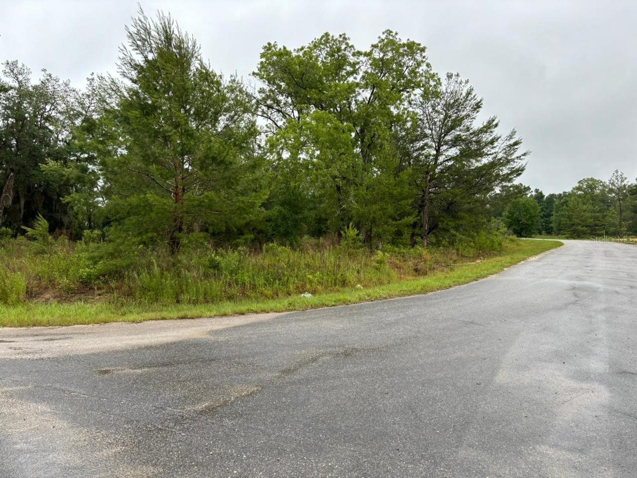 1 Malauka Radial Drive Ocklawaha FL 32179 S5147473 image1