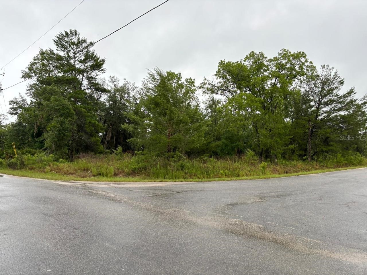 1 Malauka Radial Drive Ocklawaha FL 32179 S5147473 image3