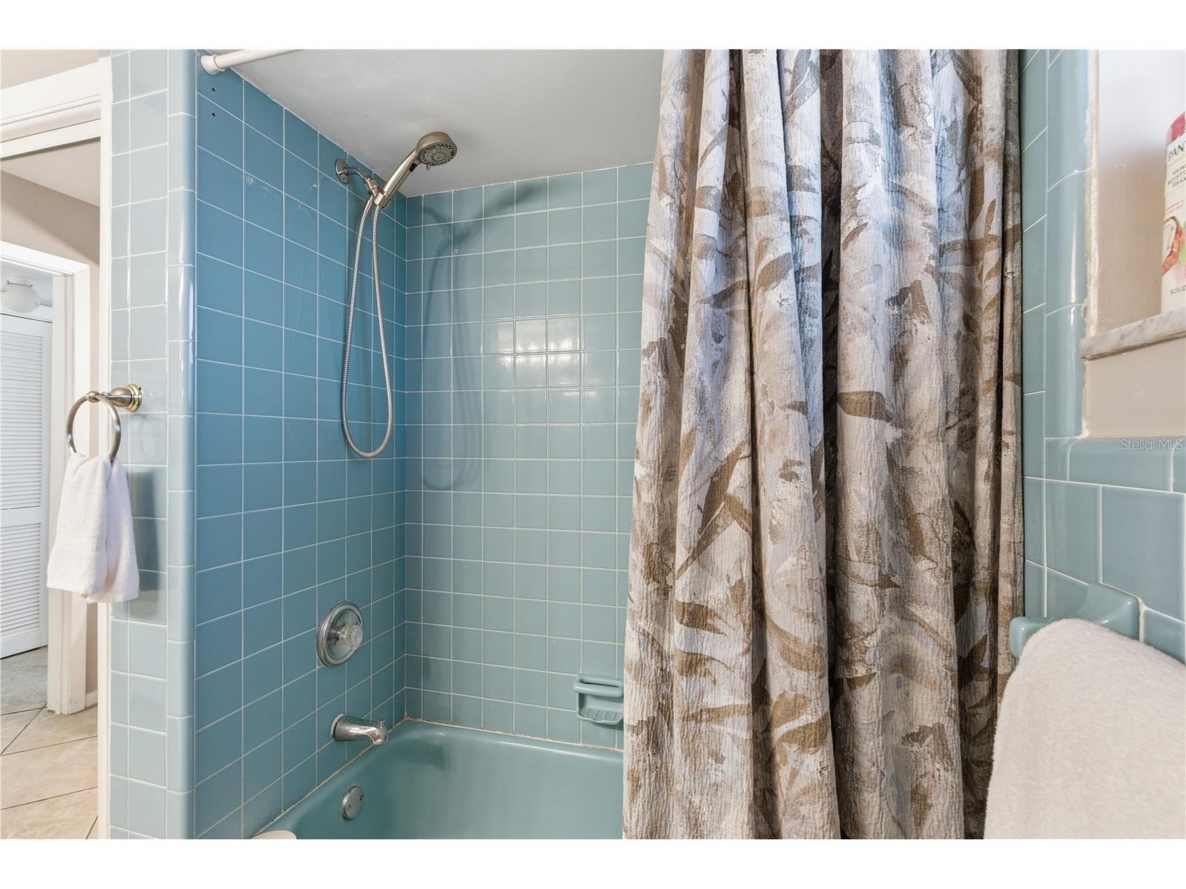 1 Maplewood Avenue Clearwater FL 33765 TB8498771 image47