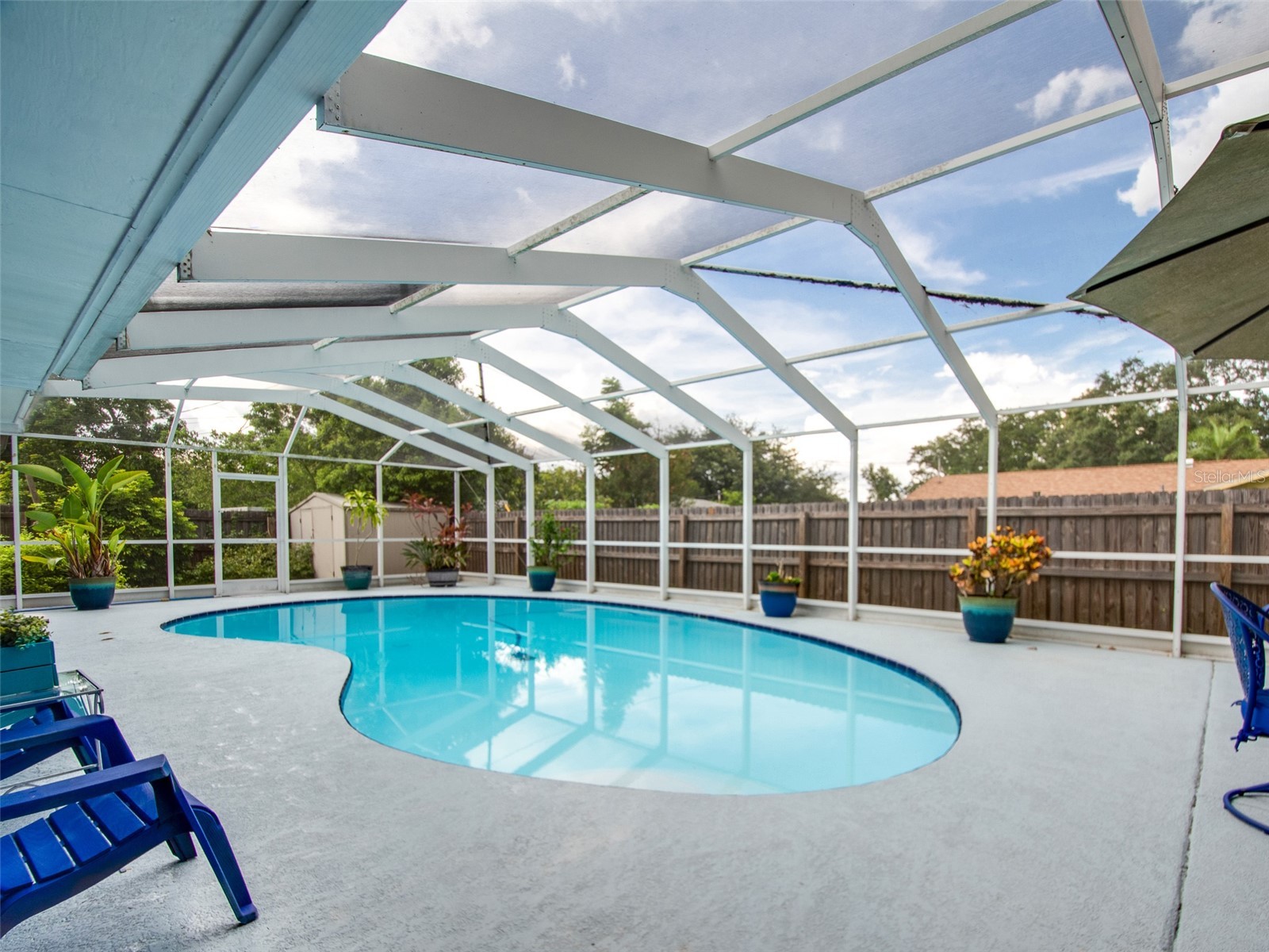 1 Maplewood Avenue Clearwater FL 33765 TB8498771 image56
