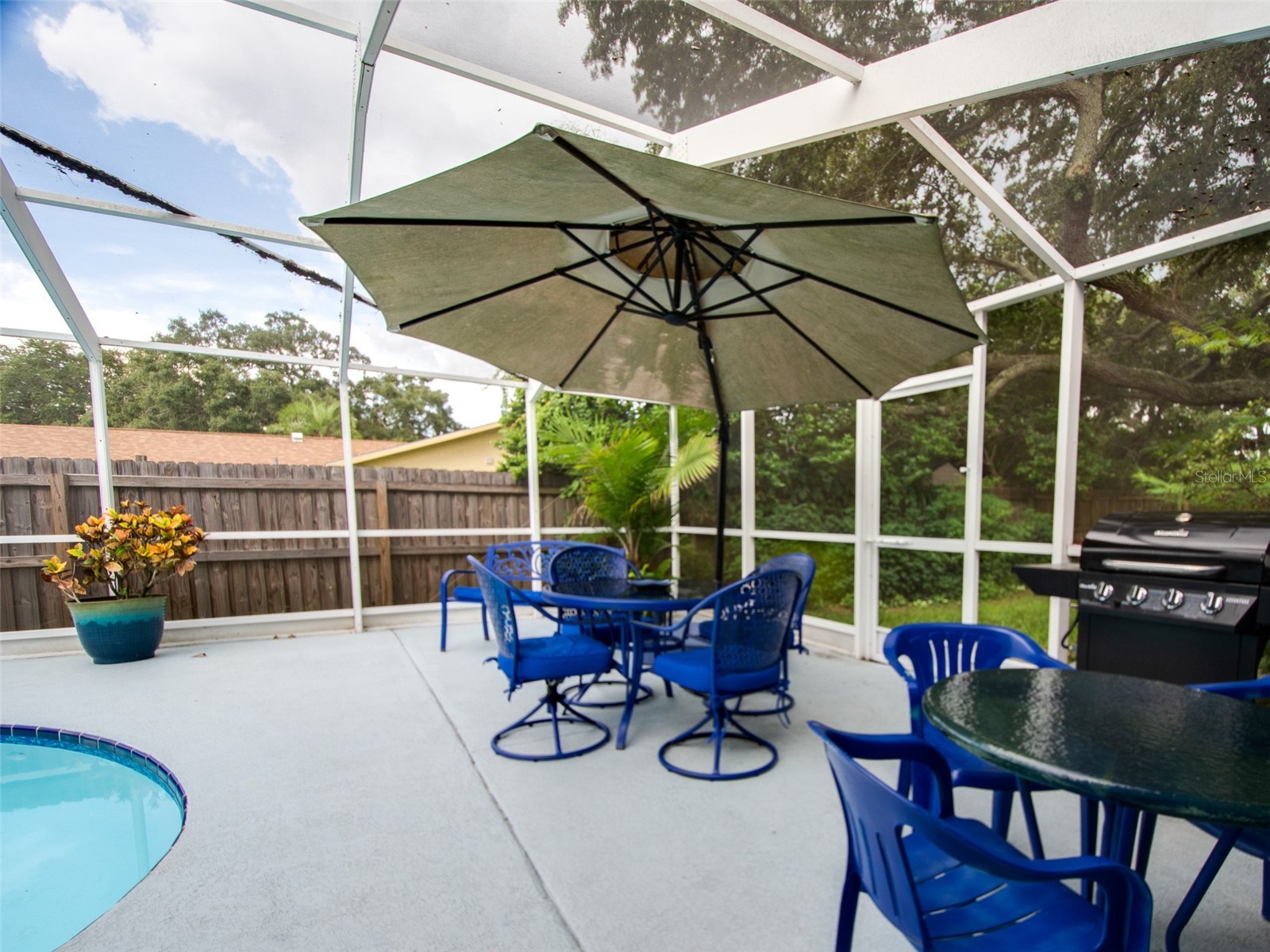 1 Maplewood Avenue Clearwater FL 33765 TB8498771 image57