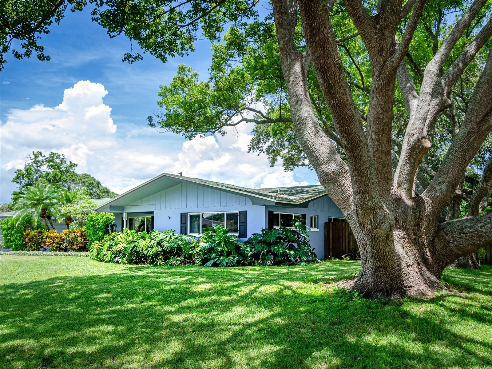 1 Maplewood Avenue Clearwater FL 33765 TB8498771 image72