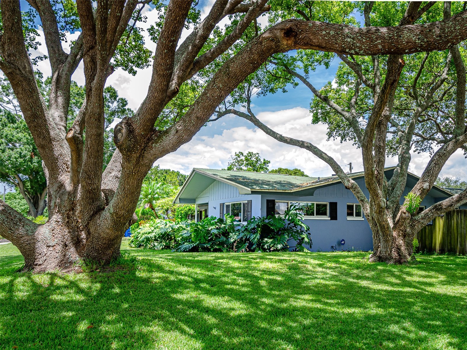 1 Maplewood Avenue Clearwater FL 33765 TB8498771 image73