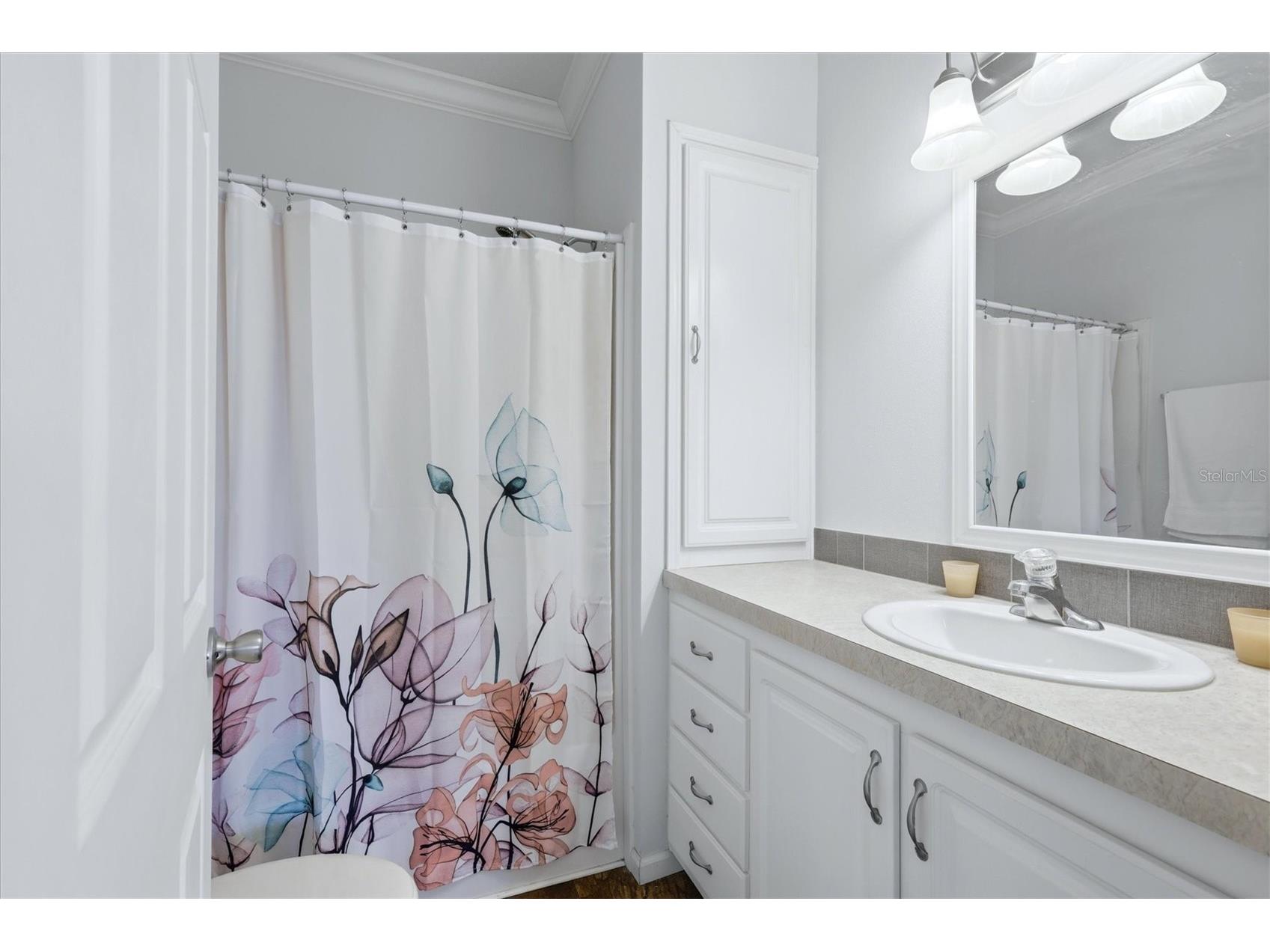 1 Meadow Circle Ellenton FL 34222 A4689707 image24