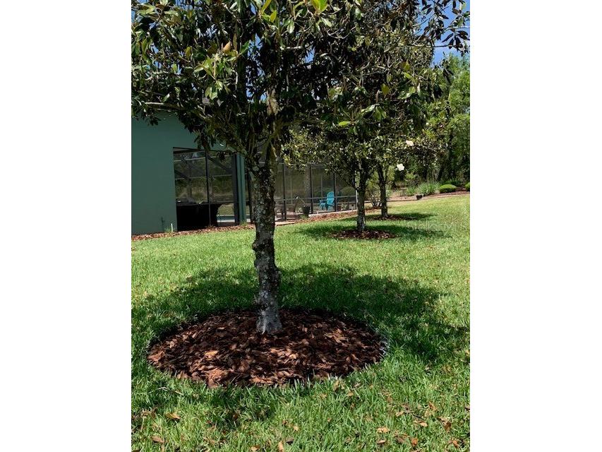 1 Mintwood Point Homosassa FL 34446 TB8493306 image25