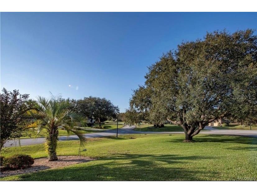 1 Mintwood Point Homosassa FL 34446 TB8493306 image28