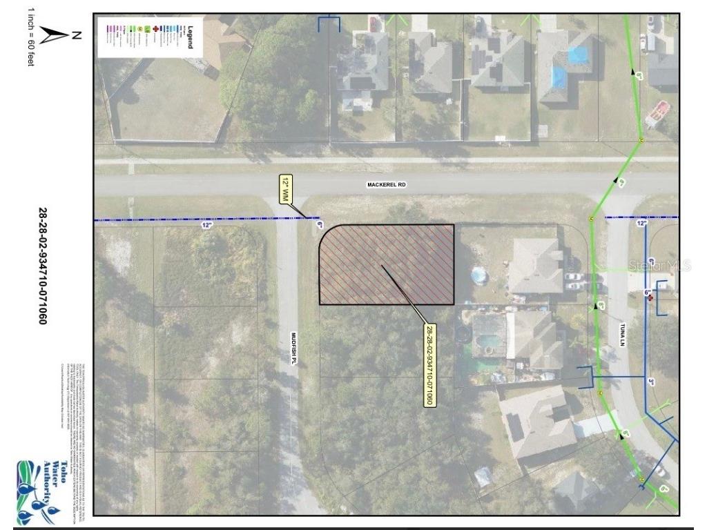 1 Mudfish Place Kissimmee FL 34759 OM714076 image1