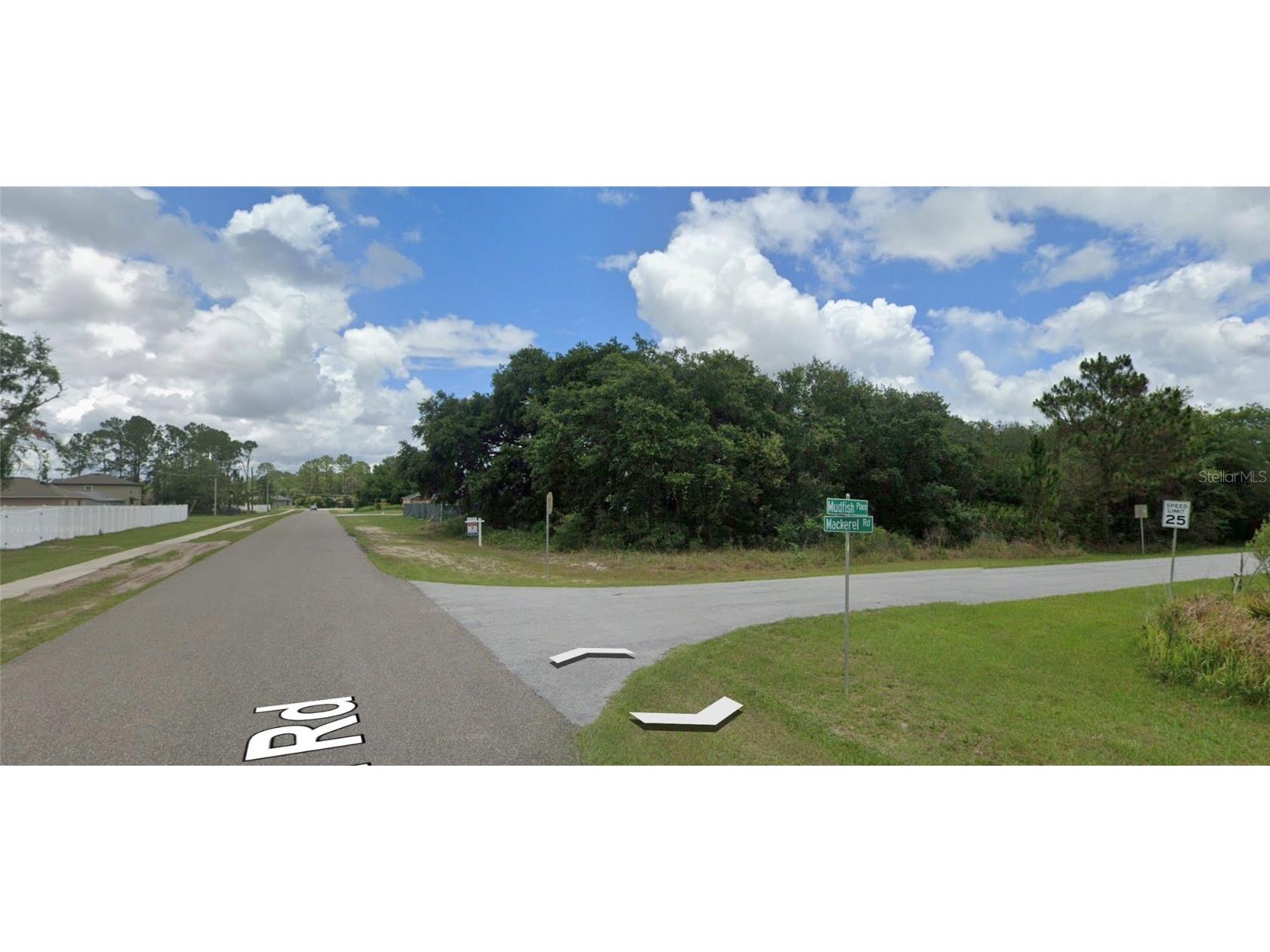 1 Mudfish Place Kissimmee FL 34759 OM714076 image2