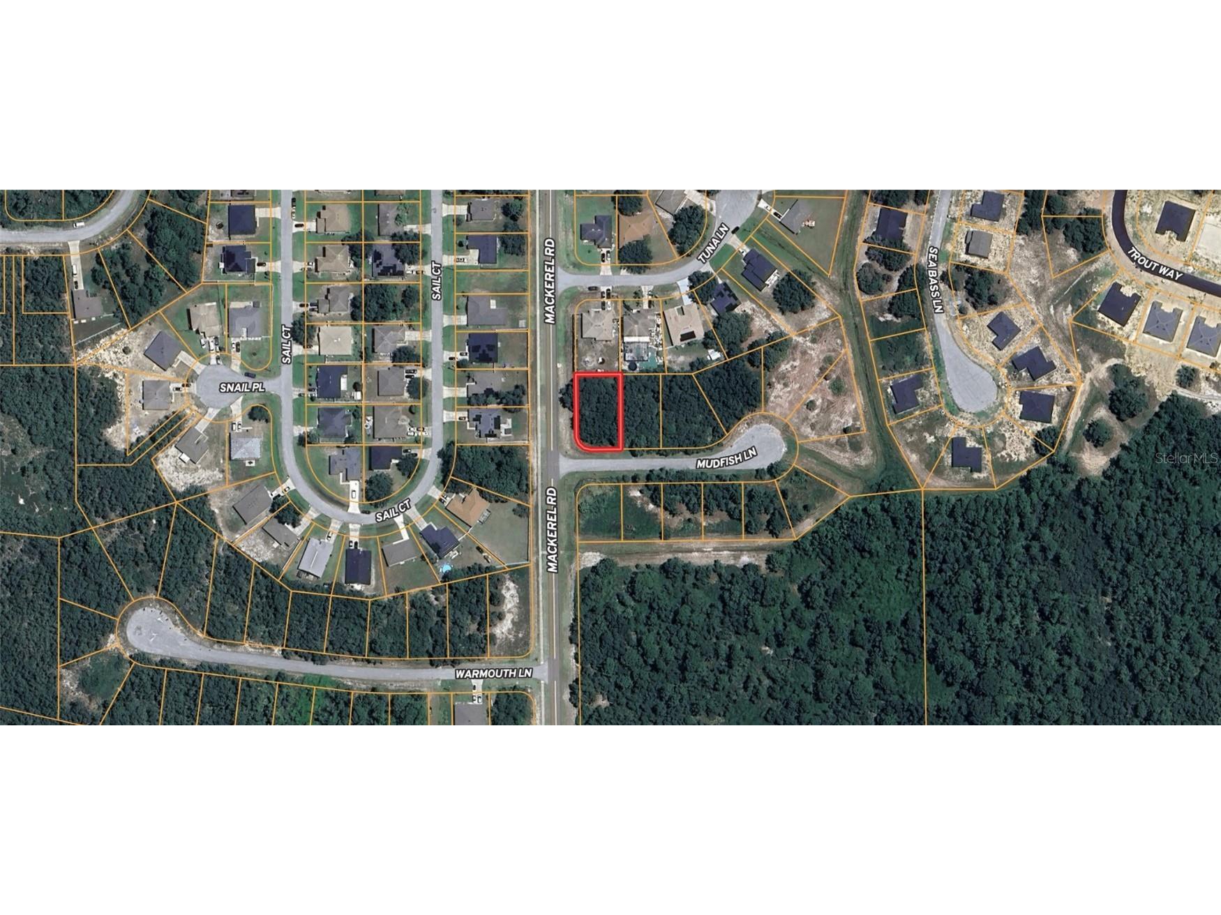 1 Mudfish Place Kissimmee FL 34759 OM714076 image3