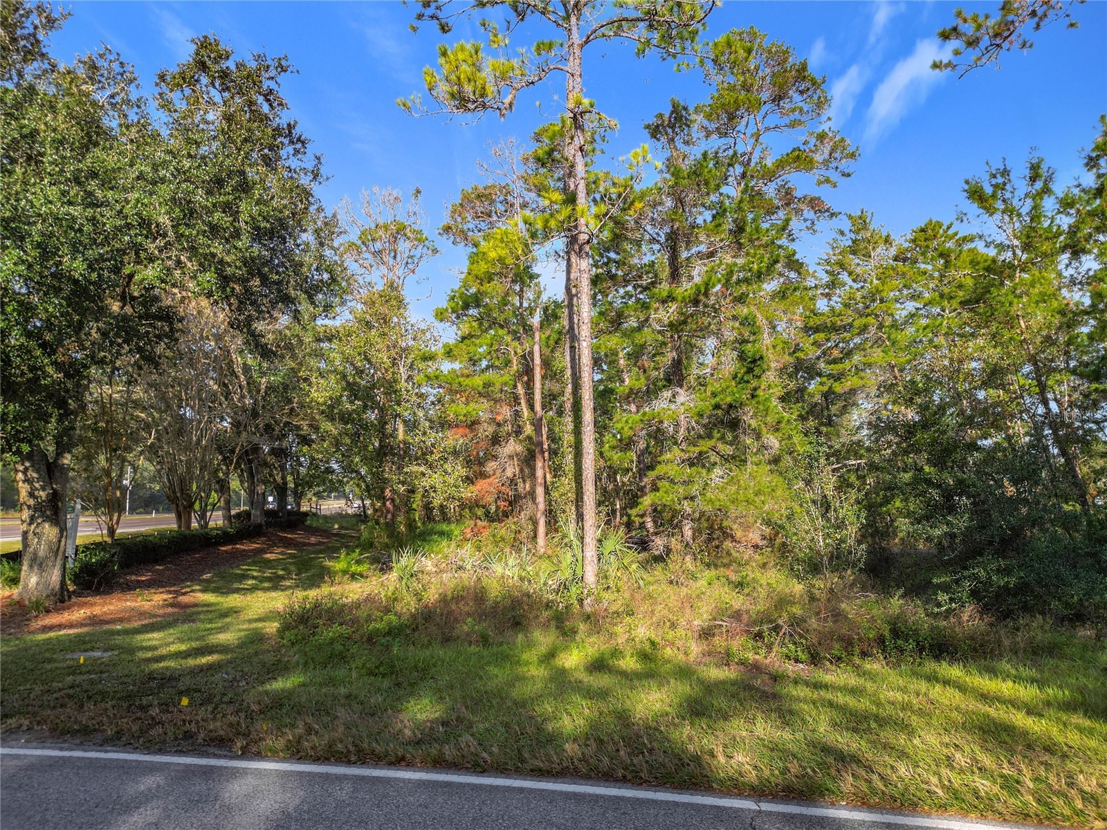1 Oak Village Boulevard Homosassa FL 34446 TB8474056 image4