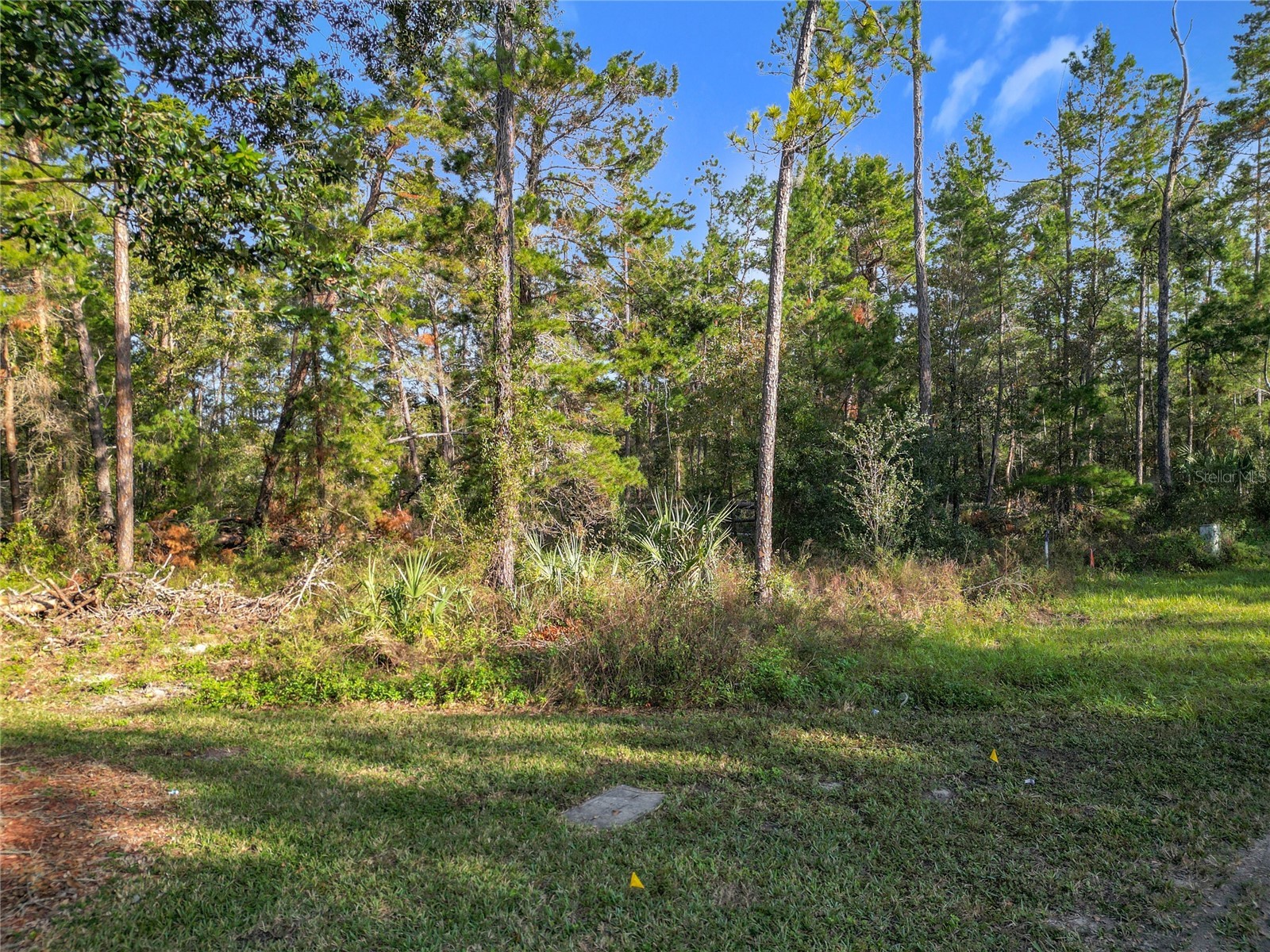1 Oak Village Boulevard Homosassa FL 34446 TB8474056 image5
