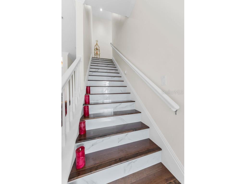 1 Palm Terrace Belleair FL 33756 TB8424891 image57