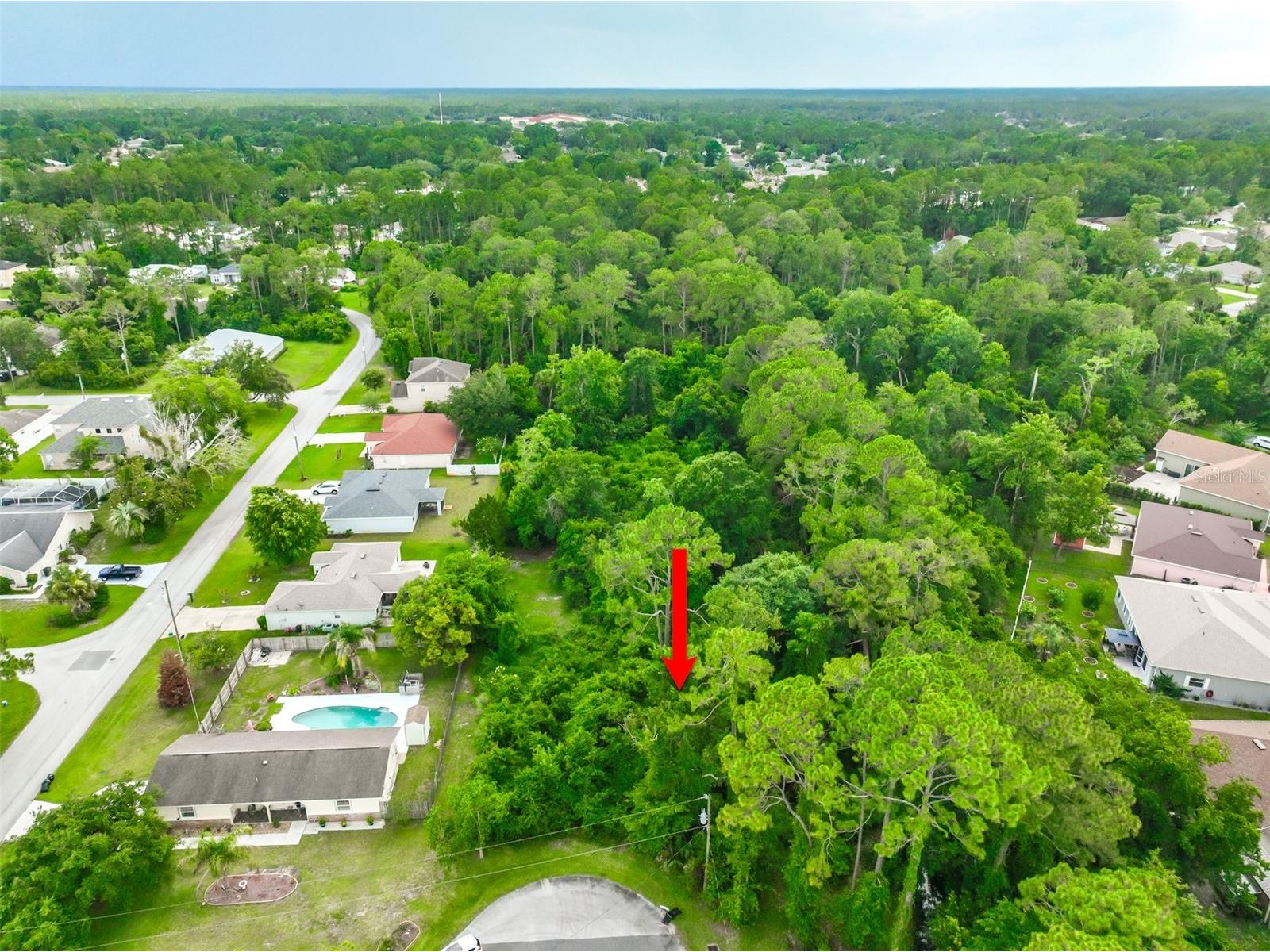 1 Pauline Place Palm Coast FL 32164 FC319252 image31