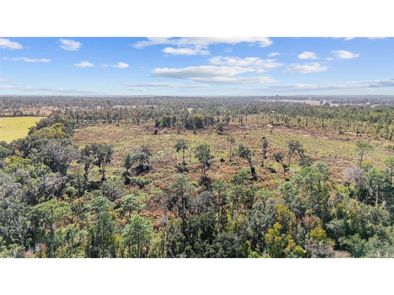 1 Petition #4261-1 Ocala FL 34481 OM714679 image20