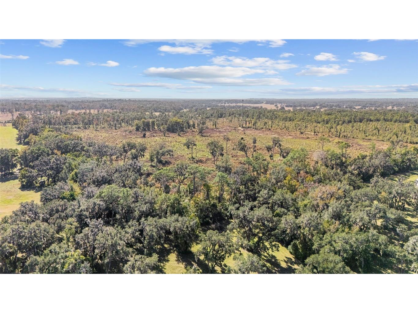 1 Petition #4261-1 Ocala FL 34481 OM714679 image8