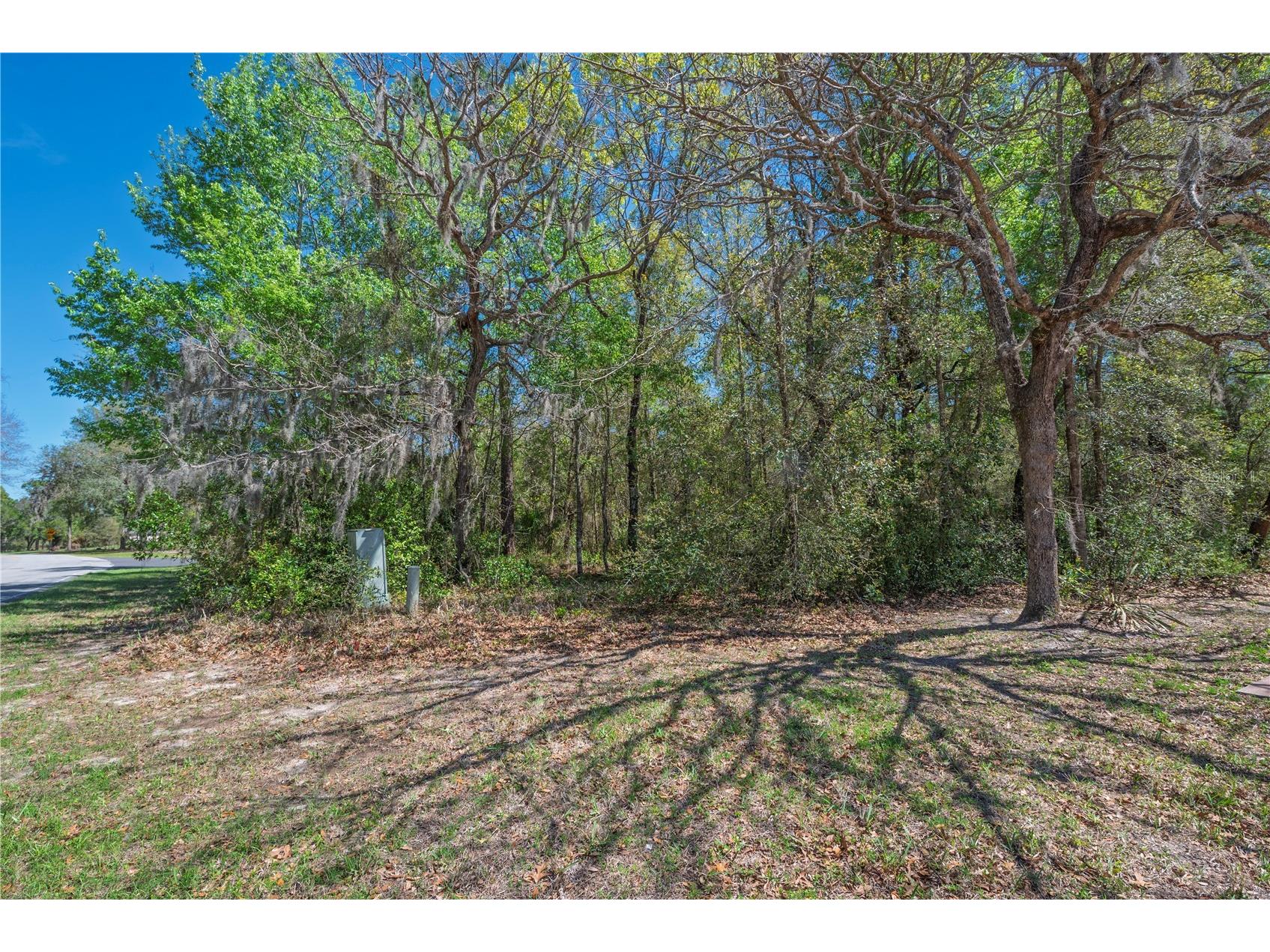 1 Pine Street Homosassa FL 34446 TB8482530 image10