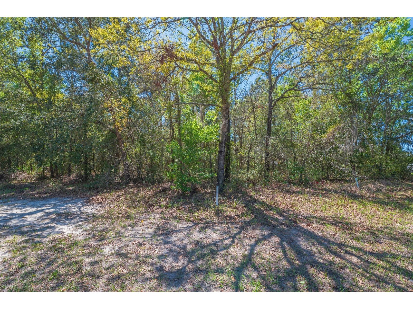 1 Pine Street Homosassa FL 34446 TB8482530 image11