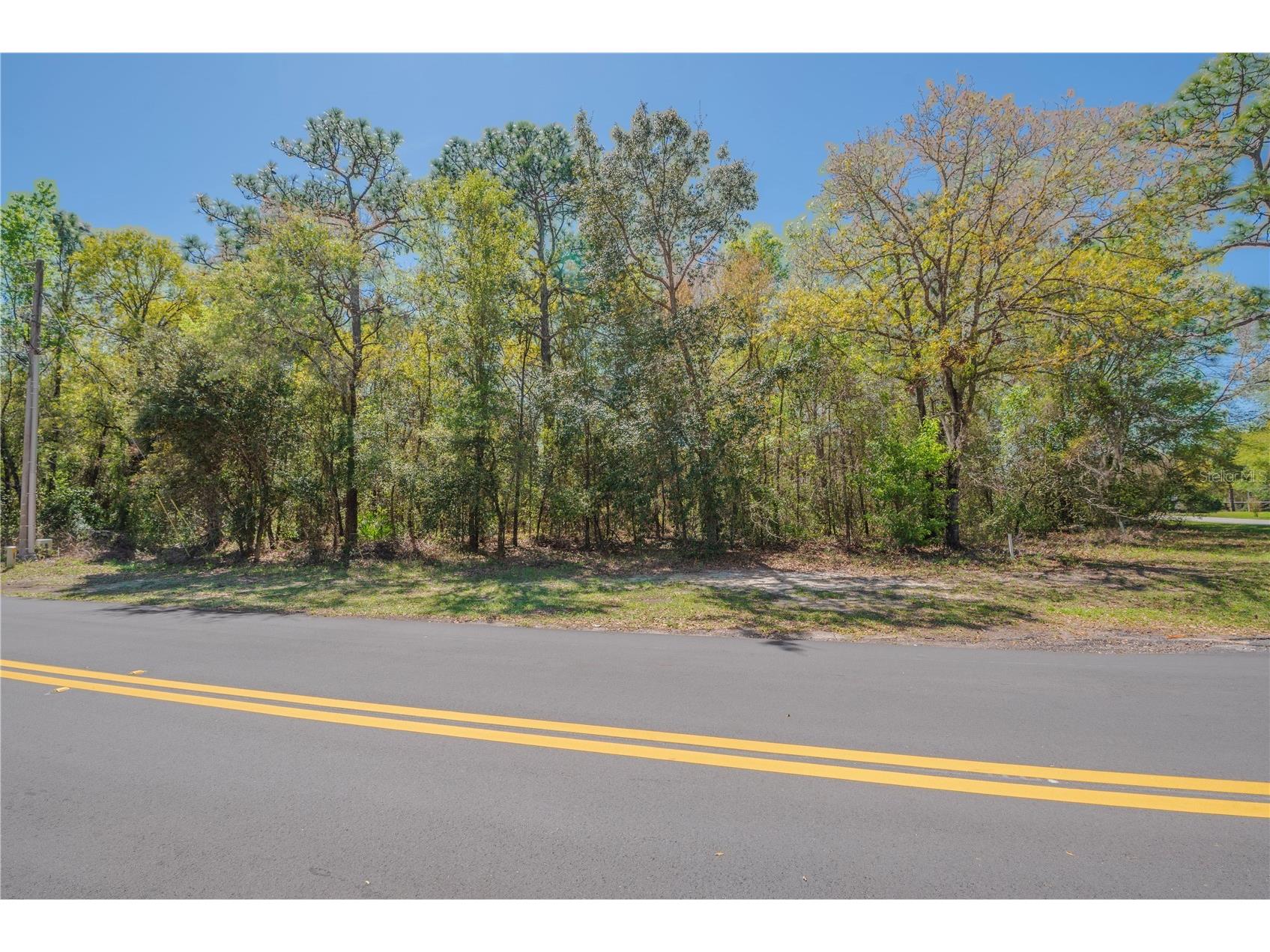 1 Pine Street Homosassa FL 34446 TB8482530 image13