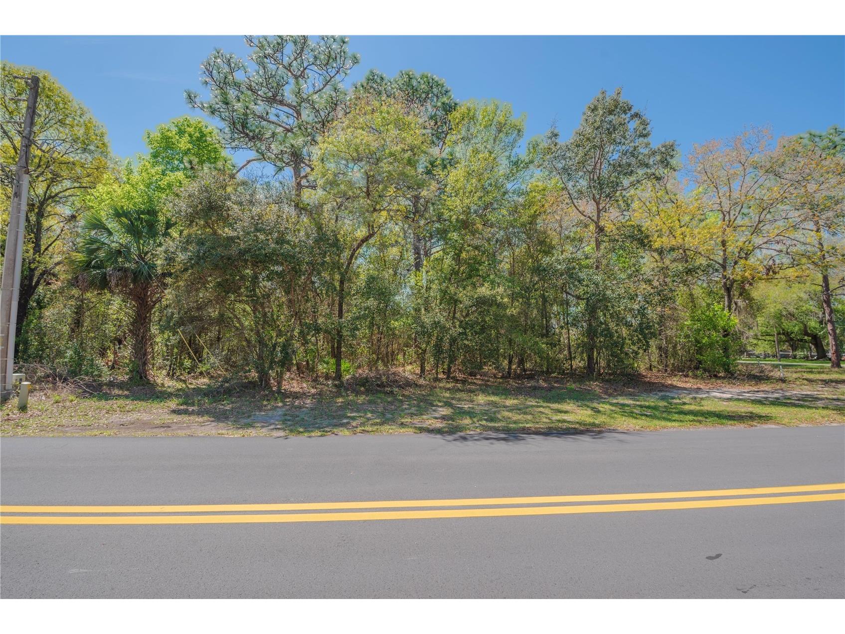 1 Pine Street Homosassa FL 34446 TB8482530 image15