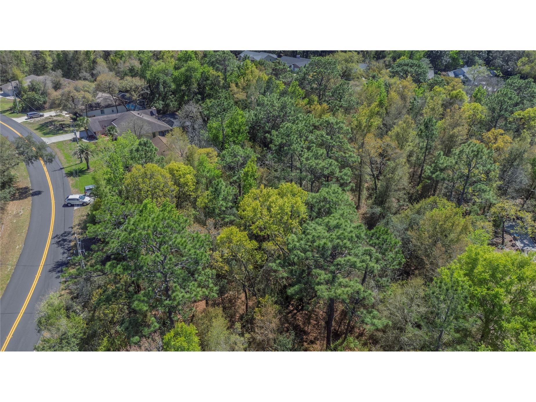 1 Pine Street Homosassa FL 34446 TB8482530 image3