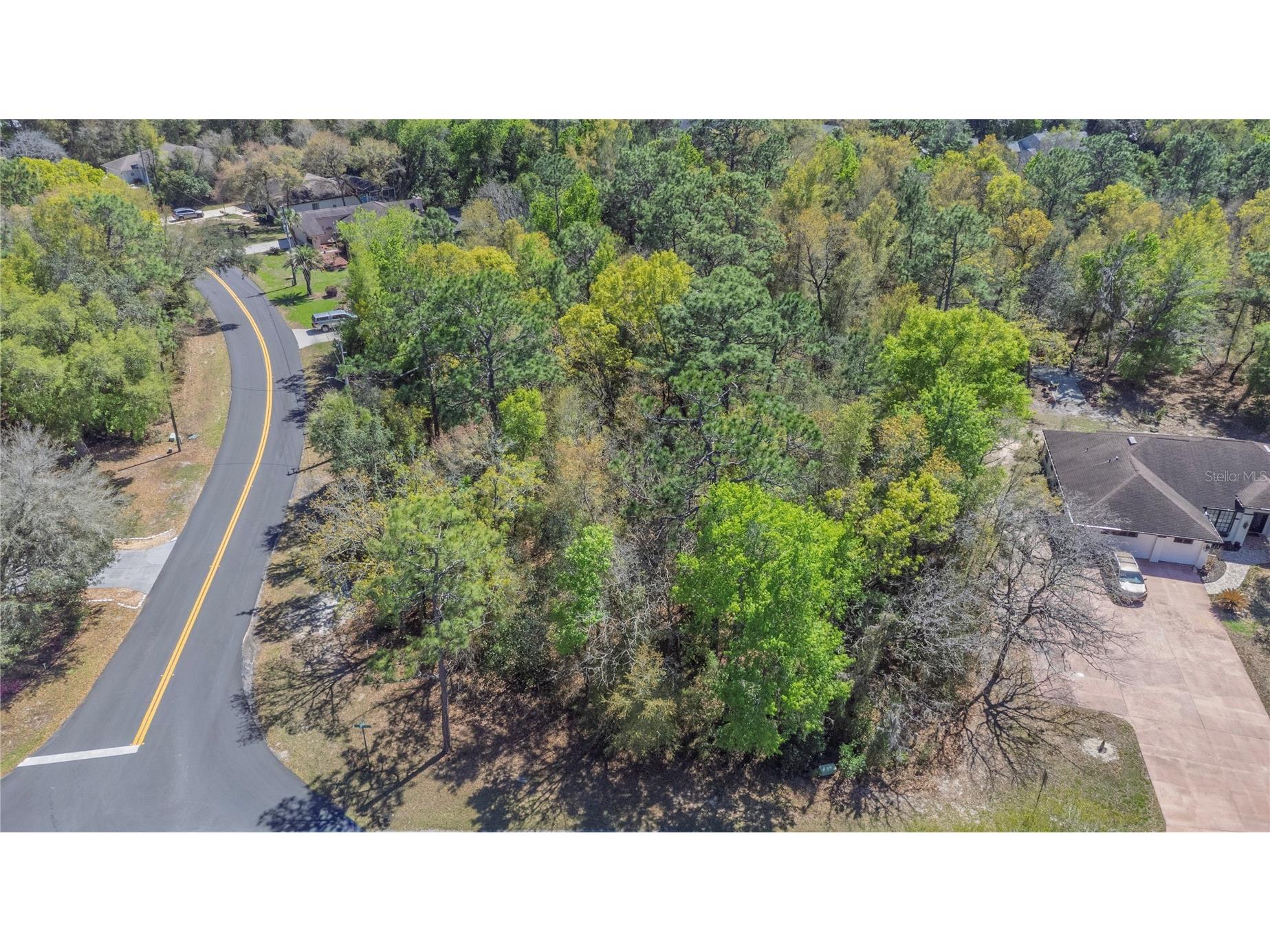 1 Pine Street Homosassa FL 34446 TB8482530 image4