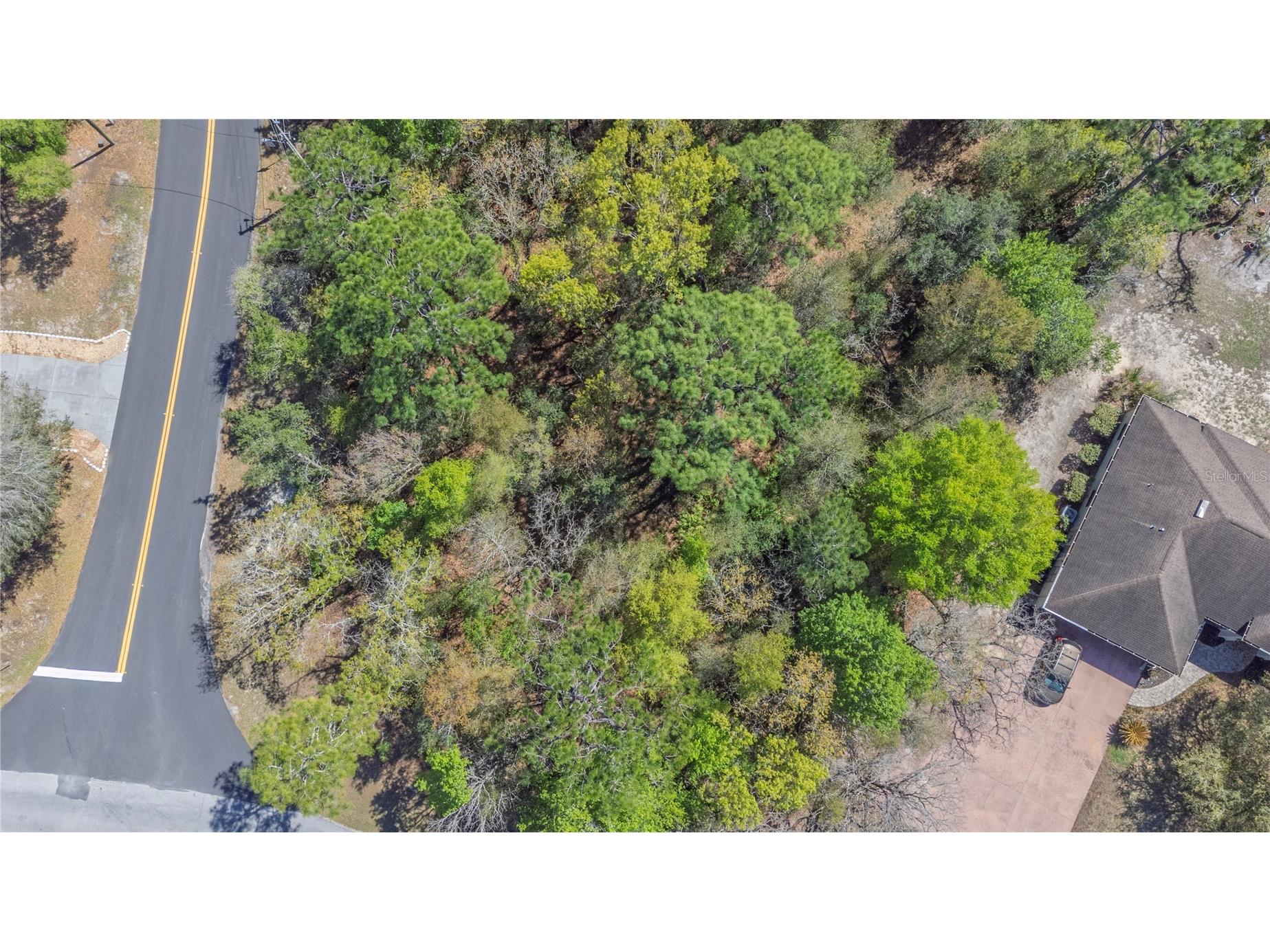 1 Pine Street Homosassa FL 34446 TB8482530 image5