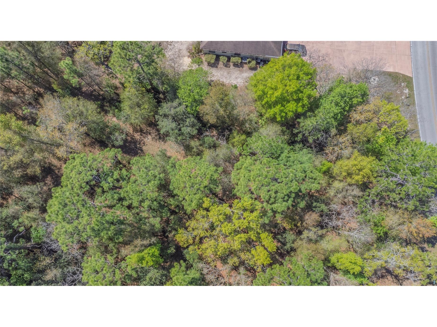 1 Pine Street Homosassa FL 34446 TB8482530 image6